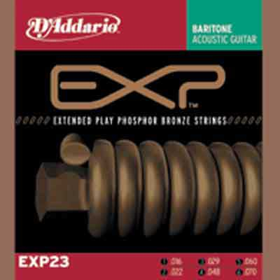 DAddario-EXP23