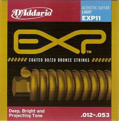 DAddario-EXP11