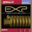 DAddario-EXP13