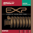 DAddario-EXP23