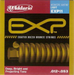 DAddario-EXP11