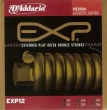 DAddario-EXP12