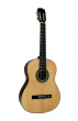 MSA HG79 Fichte Standardgitarre