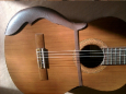 Guitarguard